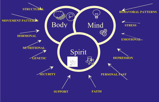 Embracing Holistic Approaches