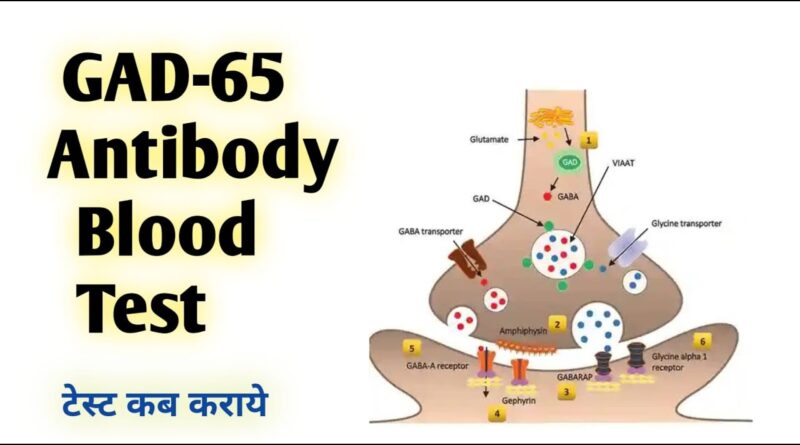 GAD-65 Antibody Test