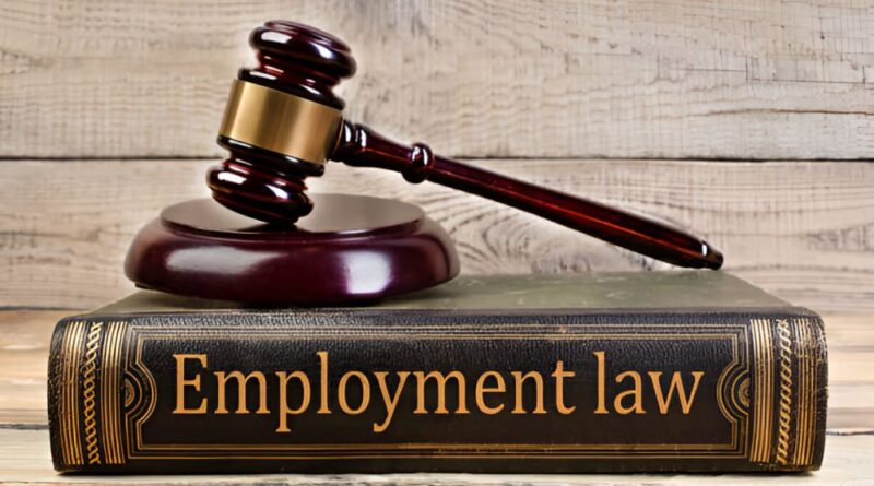 The Vital Role of an Employment Law Solicitor for Employers