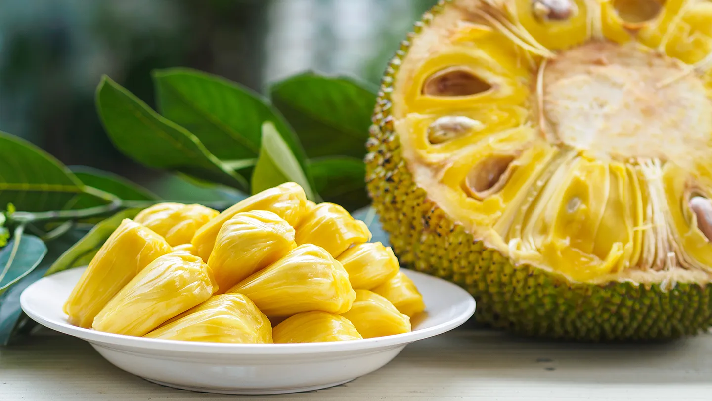 why-jackfruit-is-nutritious-and-beneficial