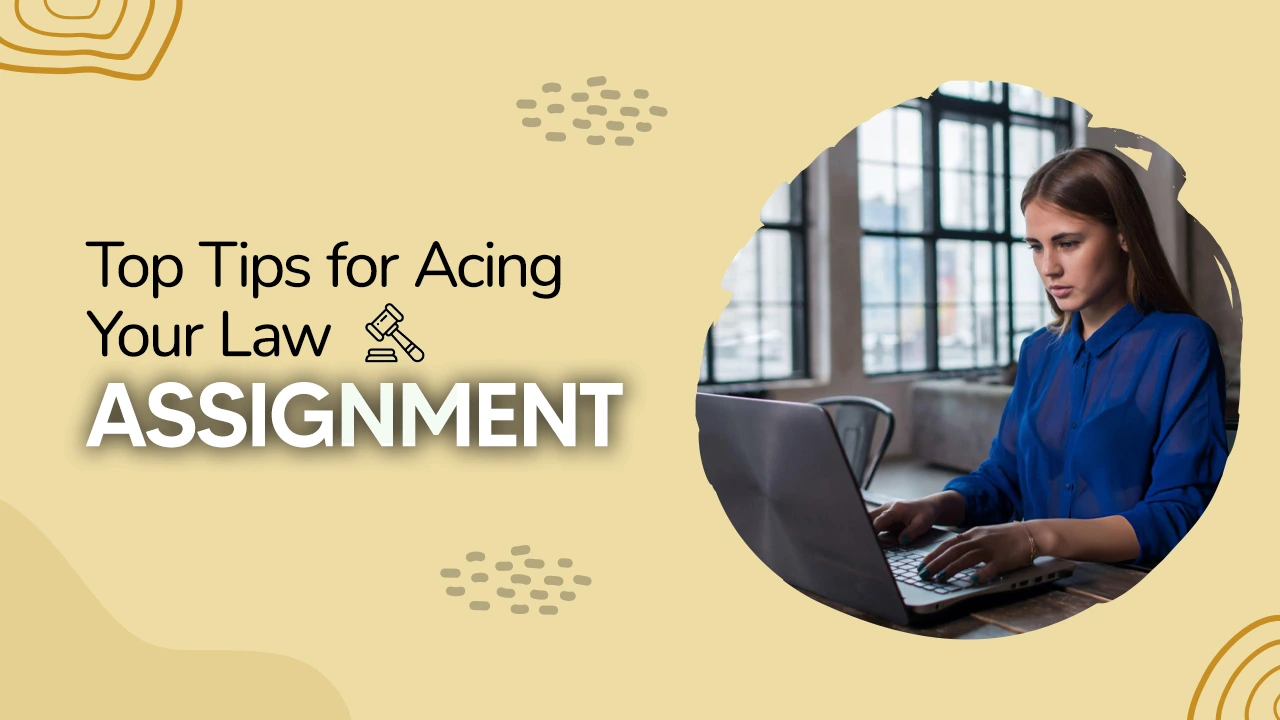 9 Ways to Concede High Scores in Law Assignment