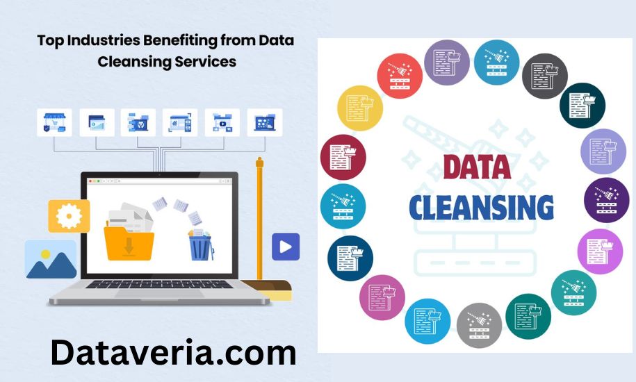 dataveria how to remove your information_