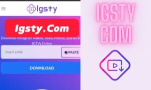 igsty com: Download Instagram Photos, Videos & Reels in Seconds